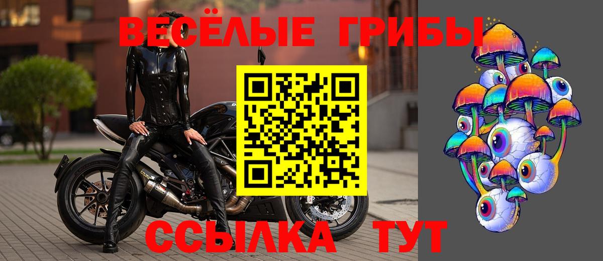 купить   Псилоцибиновые грибы Cubensis  Вход с VPN  Чебоксары  Псилоцибиновые грибы мицелий 