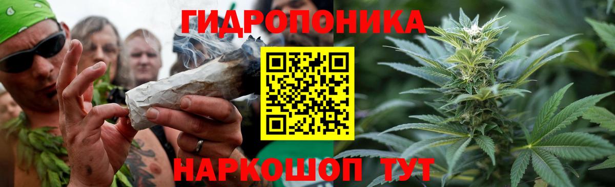 Чебоксары  Каннабис сатива  Каннабис AK-47  Бошки марихуана THC 21%  Бошки Шишки Amnesia  Вход с VPN 
